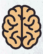 brain