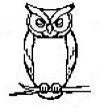 owl